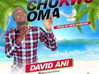 Mp3 Audio Song David Ani Chukwuoma Ngospelmedia5