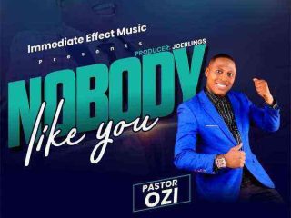 Nobody Like You By Pastor Ozi Lyrics