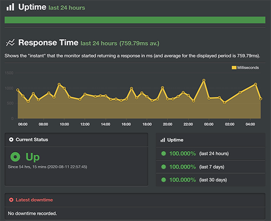 Bluehost Uptime